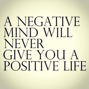 Meet your Posher, Evelyn